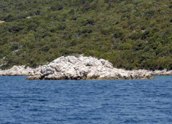 Škoj