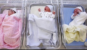 demografija hrvatske news pic