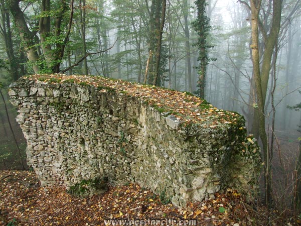 kosut