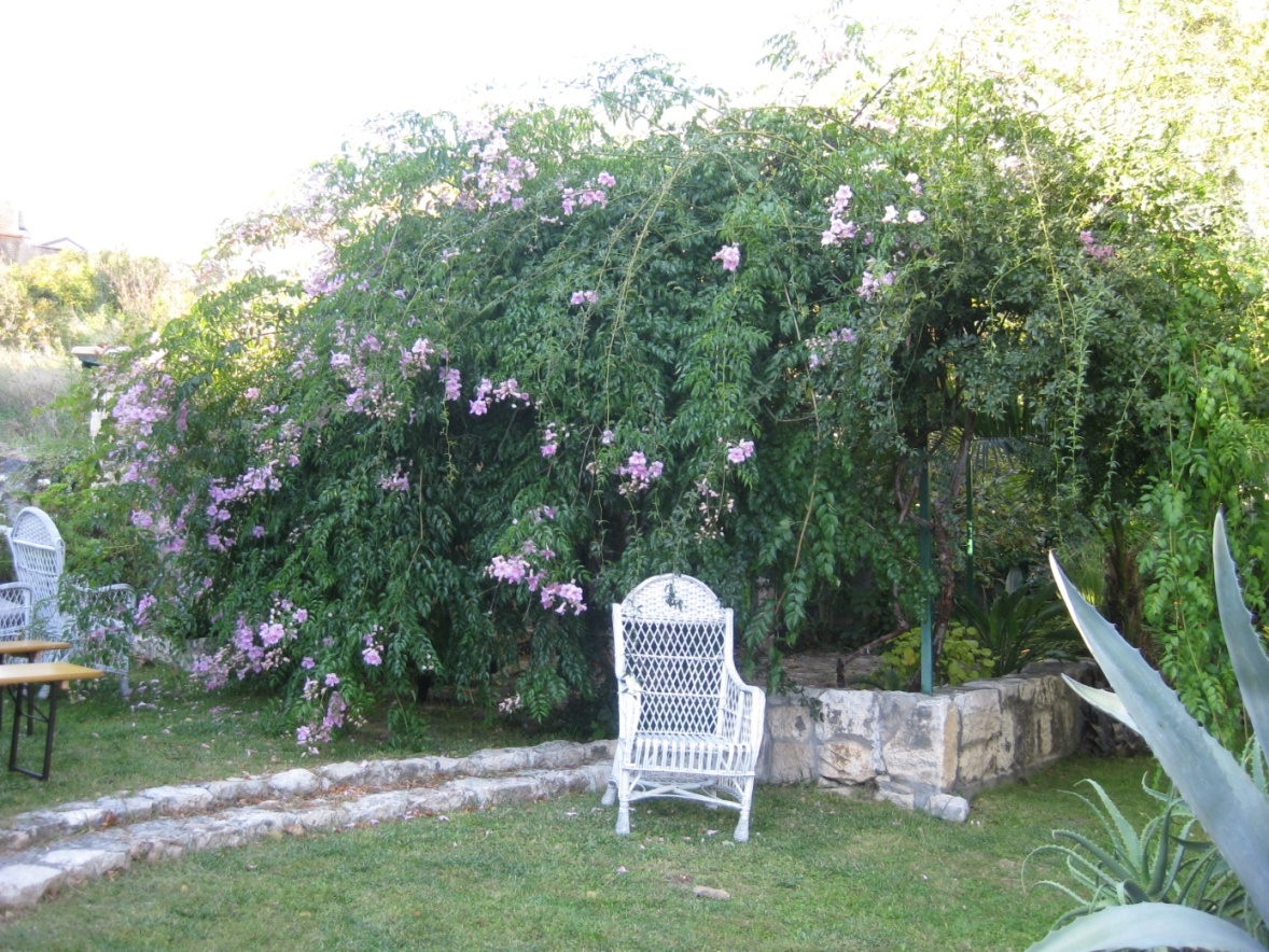 Arboretum1