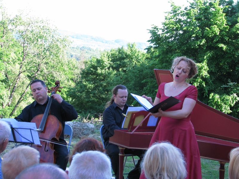 Zrin fest 2015. DBorovčak 04