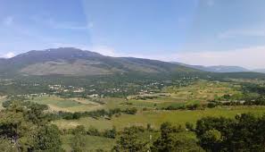Boljunsko polje