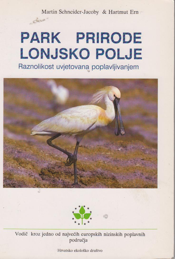 Lonjsko polje2