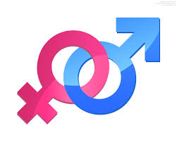 Gender