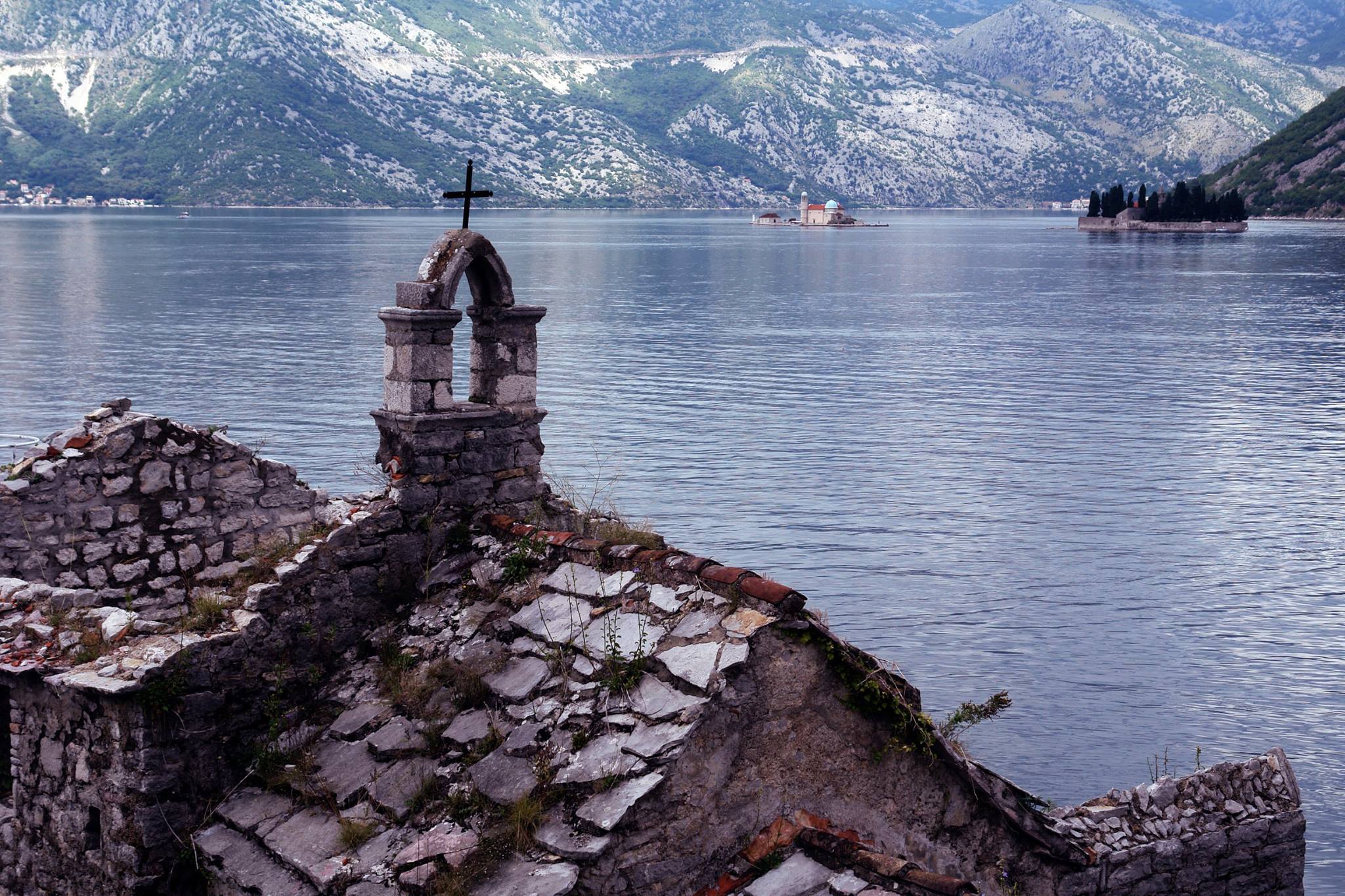 Boka Zetić