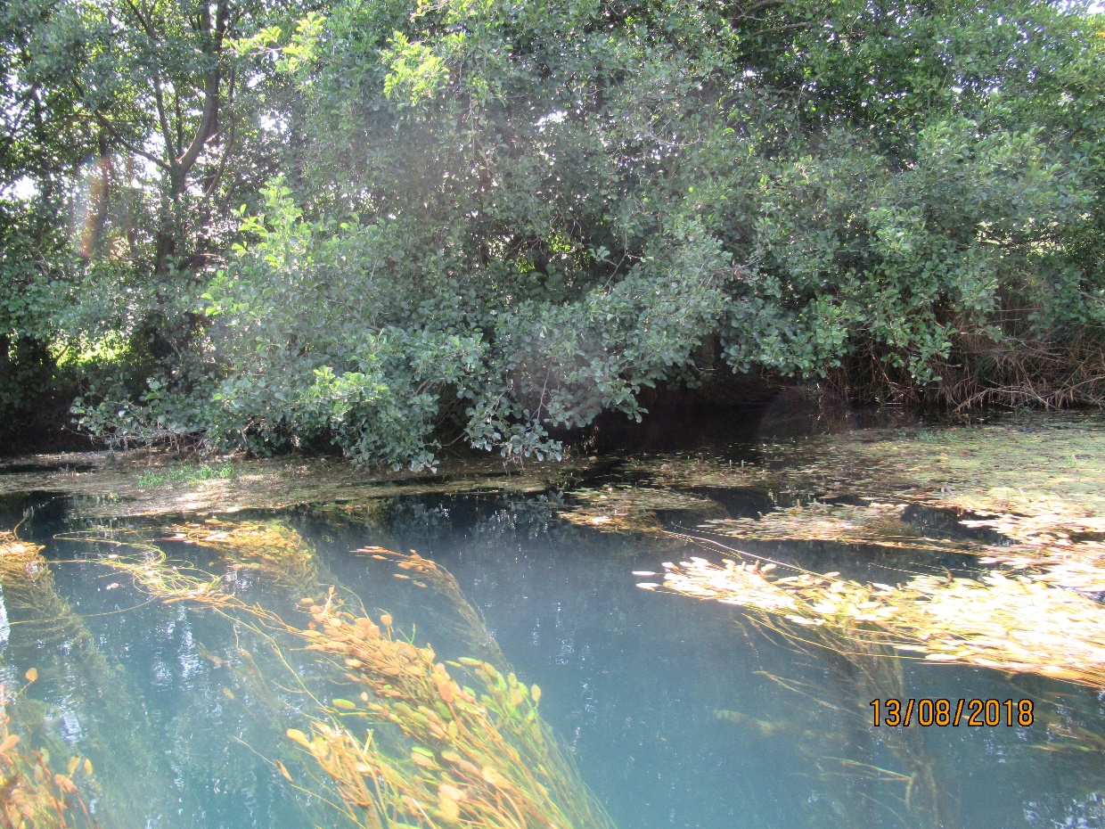 Neretva30