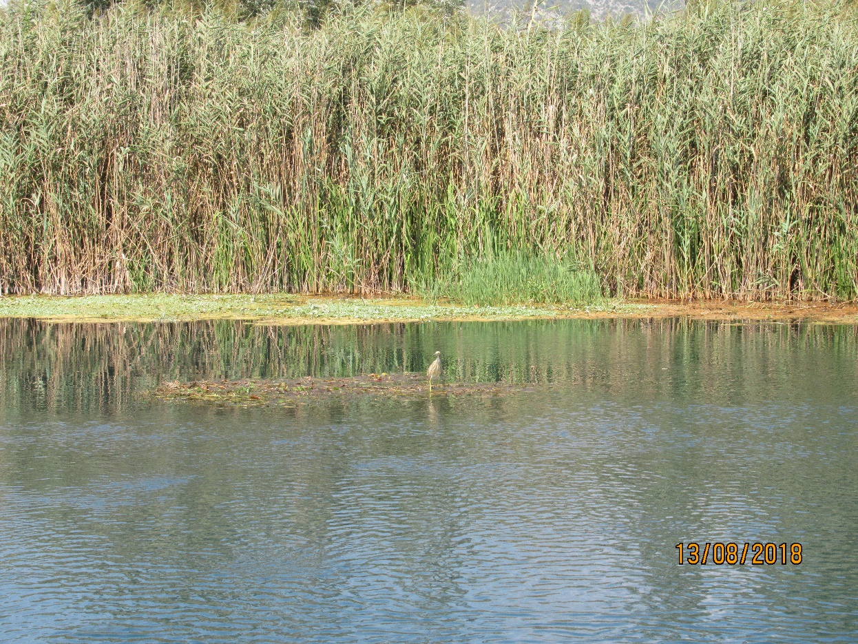 neretva34
