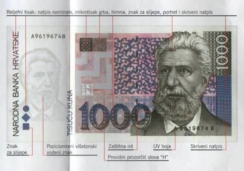 Kuna zlatica