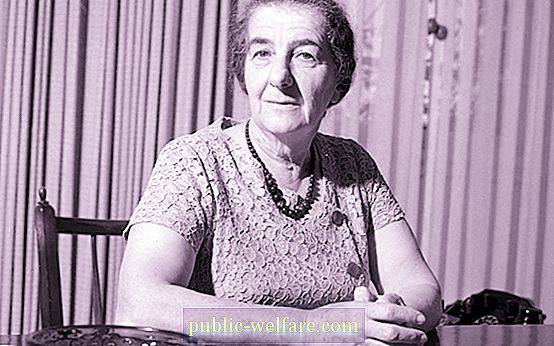 Goldi Meir