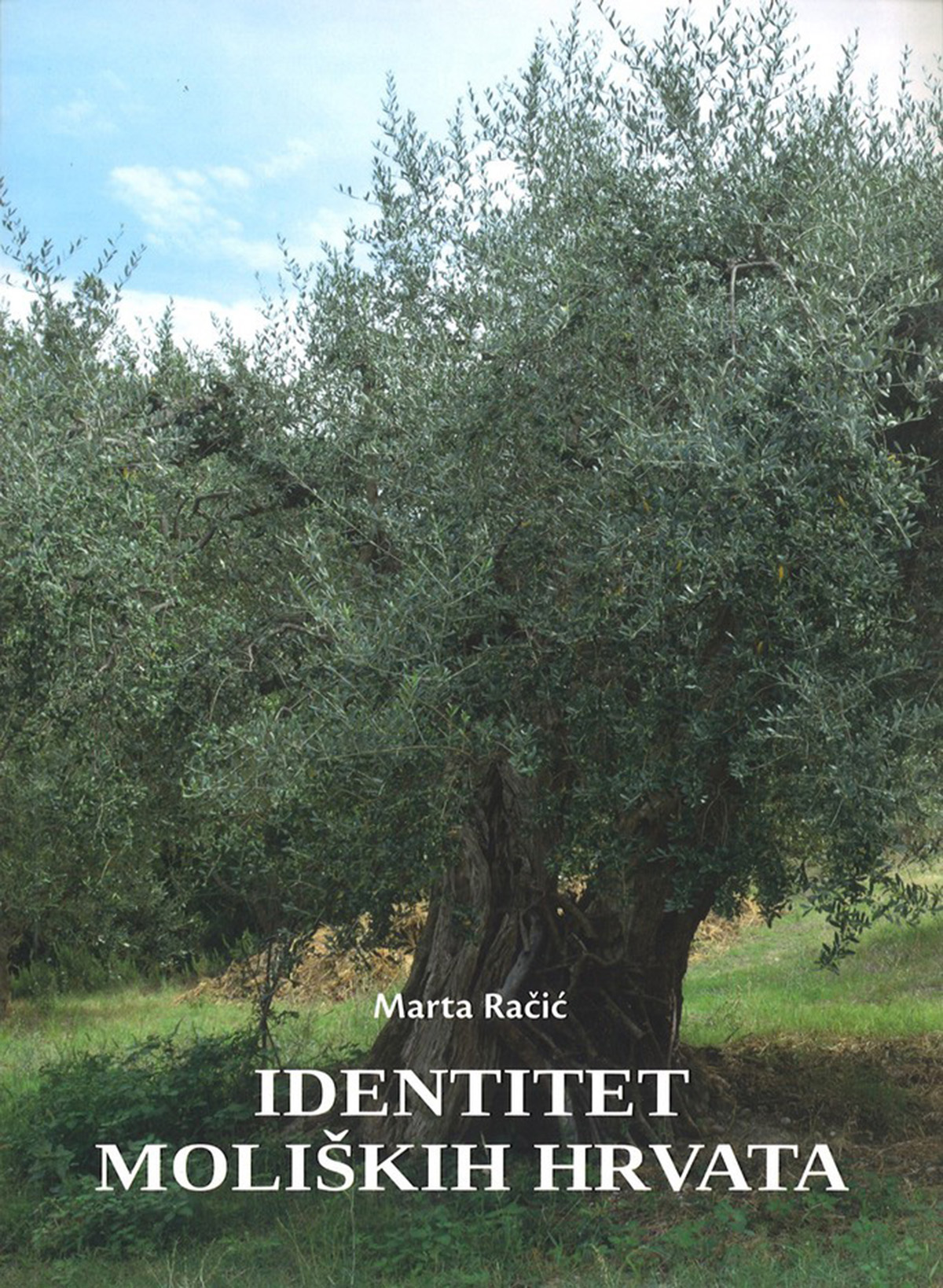 identitet moliskih hrvata 695 large