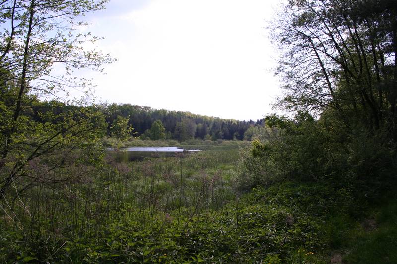 Dvorac Maru&scaron;evec