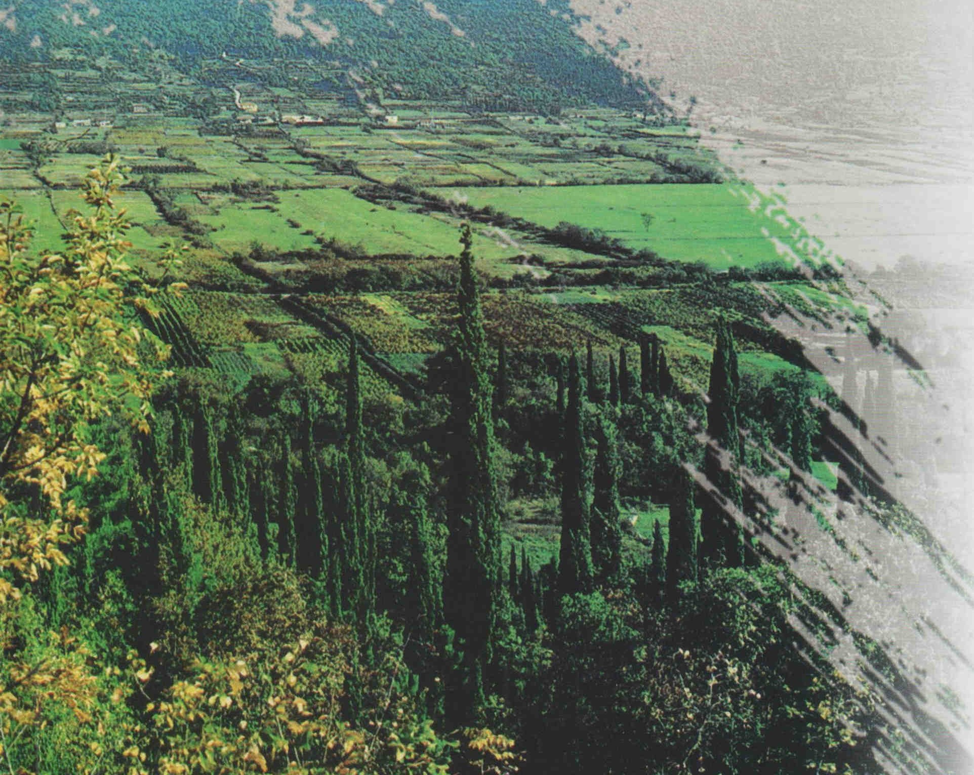 antej pjeva na svojoj zemlji2