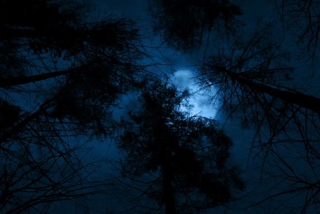 istockphoto mjesecnoc