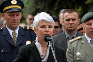 Borovo selo