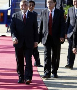 Mesić
