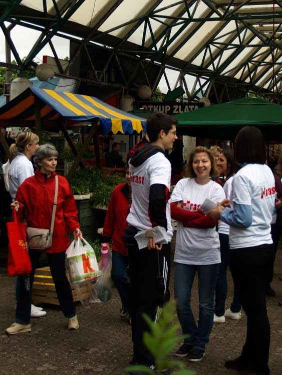 Hrast sepredstavlja u Zaprešiću 18. svibnja 2011.