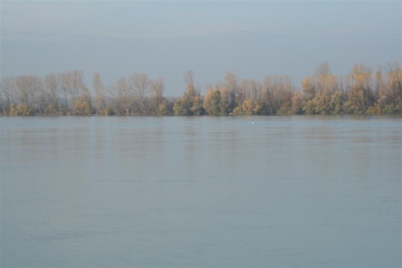 Dunav