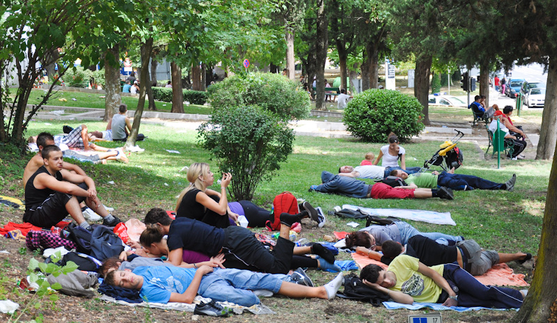 Velika Gospa u Sinju