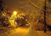 prosinac