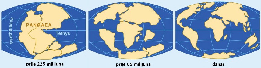 21 Pangea