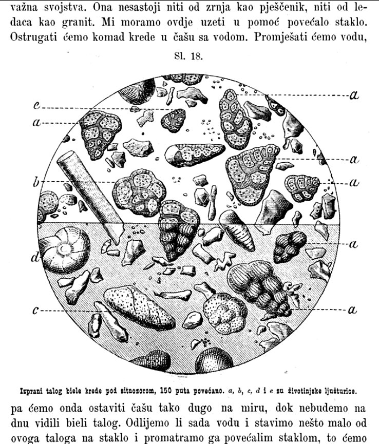 41 Mijo Kišpatić geologija