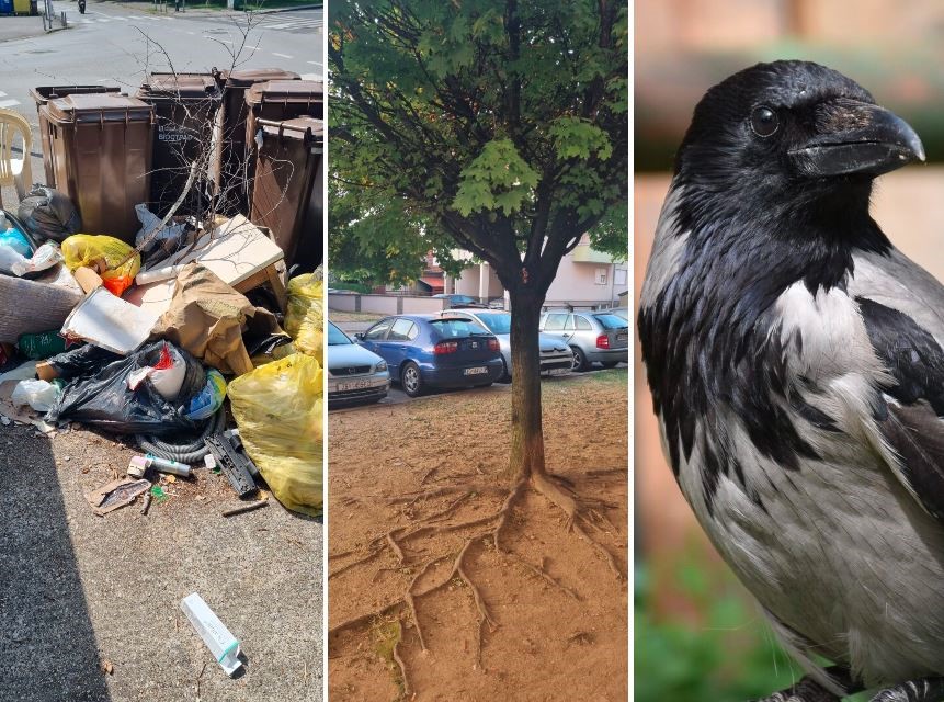 zagrebacka razglednica